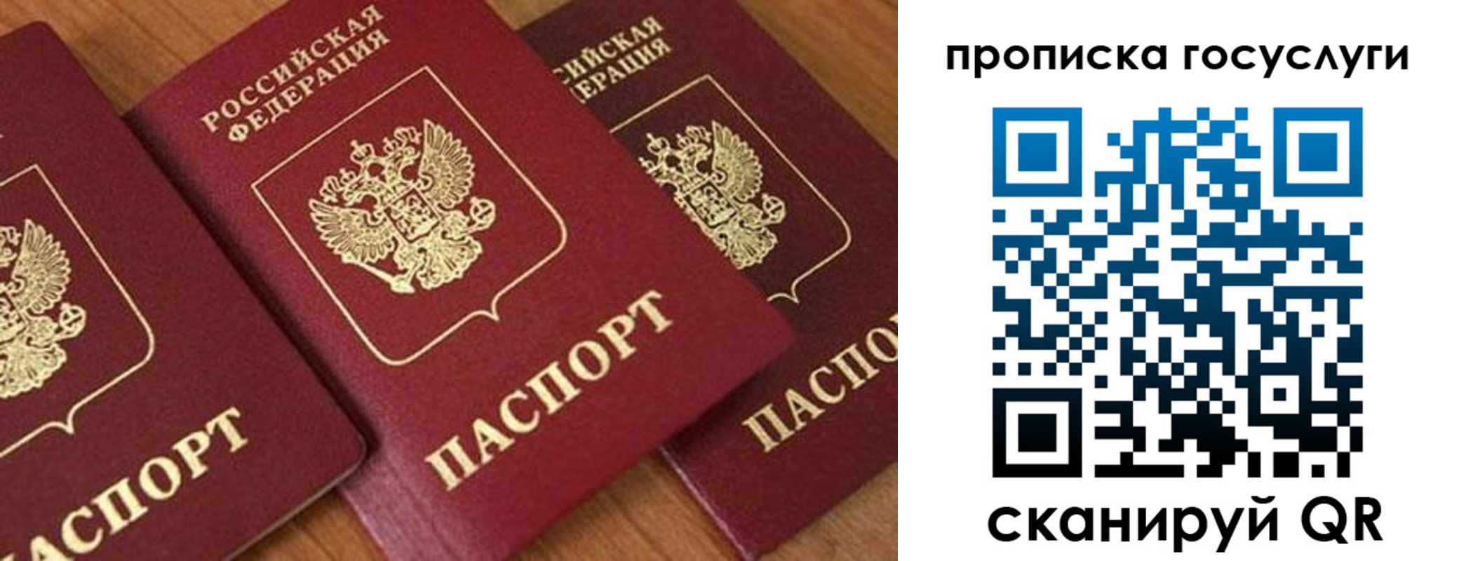 временная прописка в Ермолино